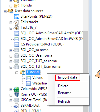 Importing to a selected data container